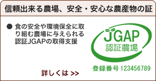 jgap導入支援