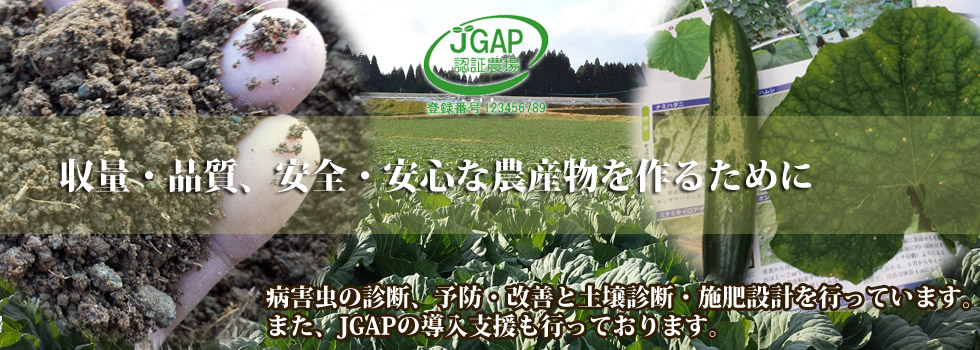 JGAP